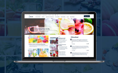 Marathon oder Sprint? Agiler Relaunch von Doehler.com